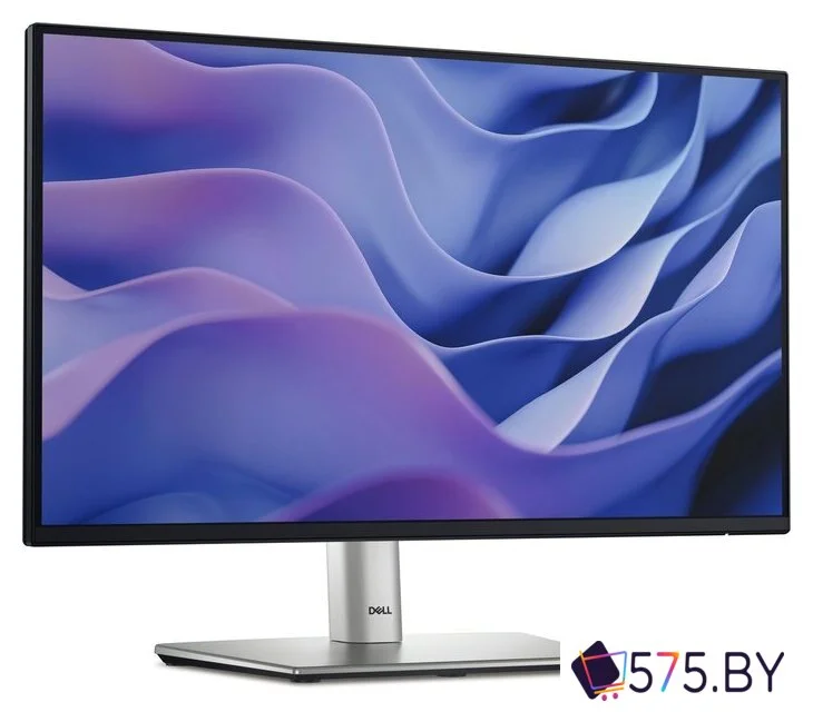 Монитор Dell Pro Plus P2225H в магазине 575.by
