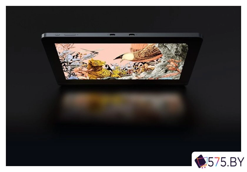 Графический монитор XP-Pen Artist Pro 16 MD160QH (2-ое поколение, с кабелем AD41) в магазине 575.by