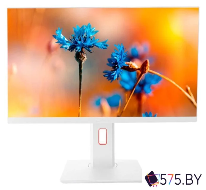 Моноблок ТЕСЛА P24WP 2416500 в магазине 575.by