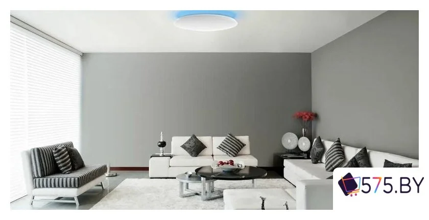 Светильник-тарелка Yeelight Arwen Ceiling Light 450C YLXD013-B в магазине 575.by