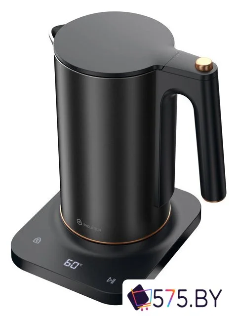 Электрический чайник Evolution KP22151L Thermocontrol в магазине 575.by