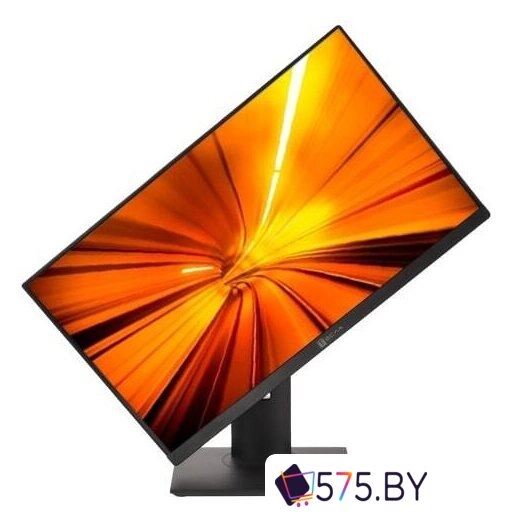 Моноблок ТЕСЛА P24BP 2416500 в магазине 575.by