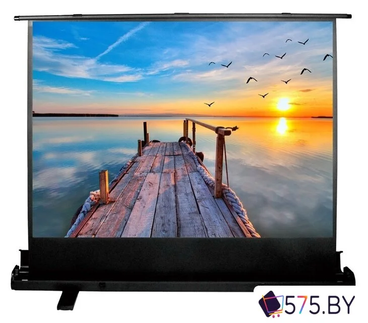 Проекционный экран CACTUS FloorExpert 113x200 CS-PSFLE-200х113 в магазине 575.by