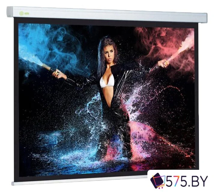 Проекционный экран CACTUS Wallscreen CS-PSW-168x299 в магазине 575.by