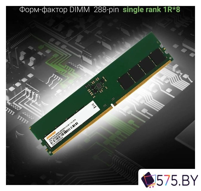 Оперативная память Digma 16ГБ DDR5 4800 МГц DGMAD54800016S в магазине 575.by