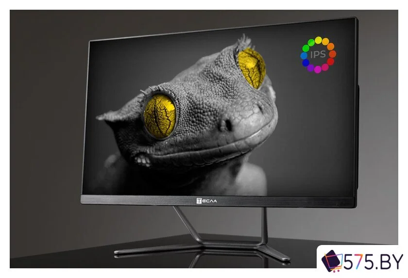 Моноблок ТЕСЛА Z24B 2416500 в магазине 575.by