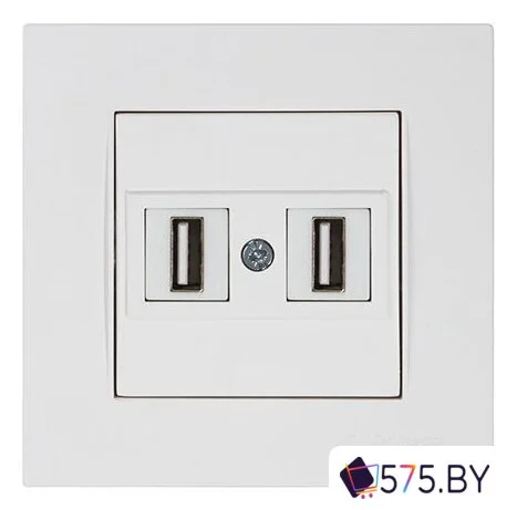 Розетка USB Mutlusan Rita 2220 456 0101 в магазине 575.by