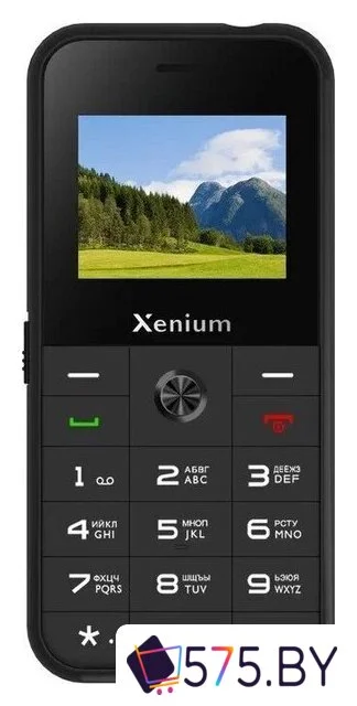 Кнопочный телефон Xenium X718 (черный)