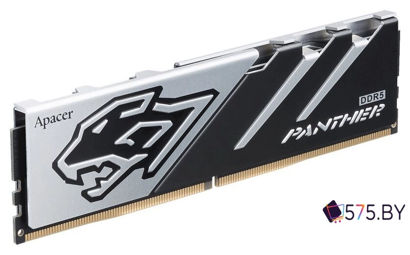 Оперативная память Apacer Panther 16ГБ DDR5 6400 МГц AH5U16G64C6527BAA-1 в магазине 575.by
