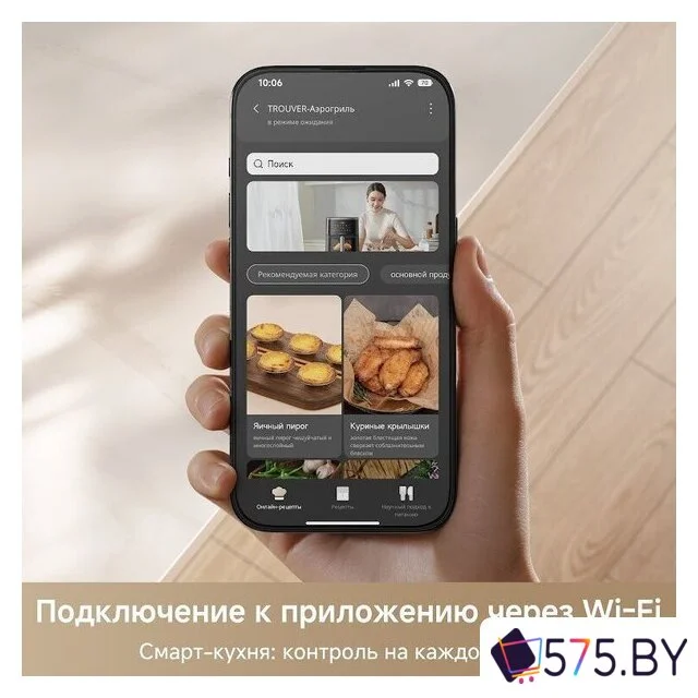 Аэрогриль (аэрофритюрница) Trouver Air Fryer FD10 Pro Max (черный) в магазине 575.by