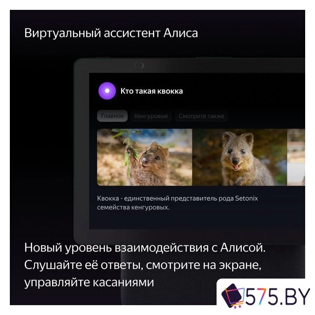 Колонка с умным дисплеем Яндекс Станция Дуо Макс (зеленый) в магазине 575.by