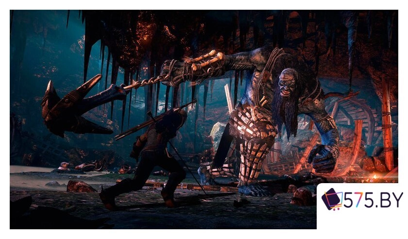 Игры для приставок PlayStation 4 The Witcher 3: Wild Hunt. Game Of The Year Edition (русские субтитры) в магазине 575.by
