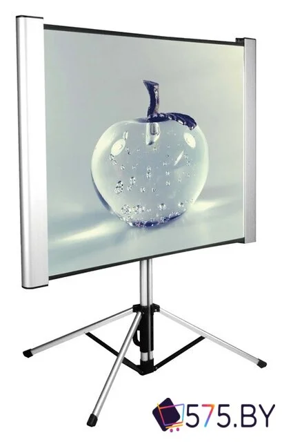 Проекционный экран CACTUS TriAlExpert 102x180 CS-PSTALE-180X102 в магазине 575.by