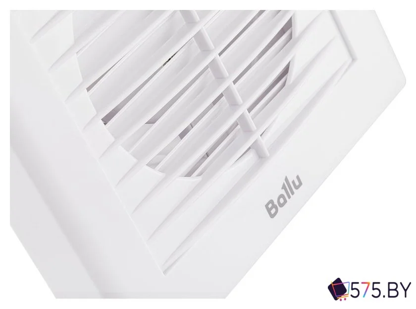 Осевой вентилятор Ballu BAF-EX 100 G в магазине 575.by