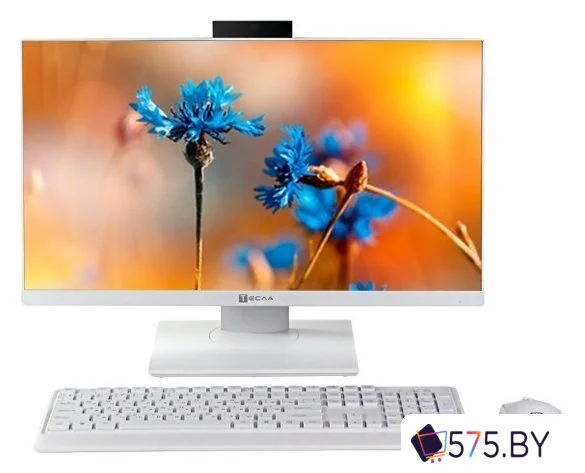 Моноблок ТЕСЛА P24WP 2416500 в магазине 575.by