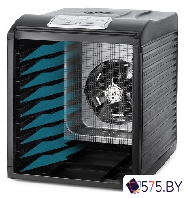 Сушилка для овощей и фруктов Kitfort KT-1908 в магазине 575.by