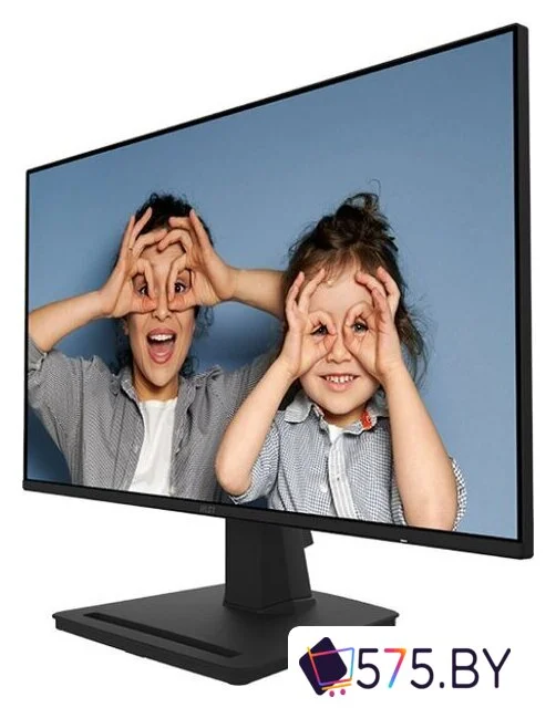 Монитор MSI Pro MP252 в магазине 575.by