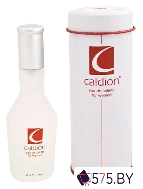 Туалетная вода Caldion For Woman EdT (100 мл) в магазине 575.by
