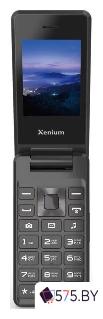 Кнопочный телефон Xenium X600 (темно-серый)