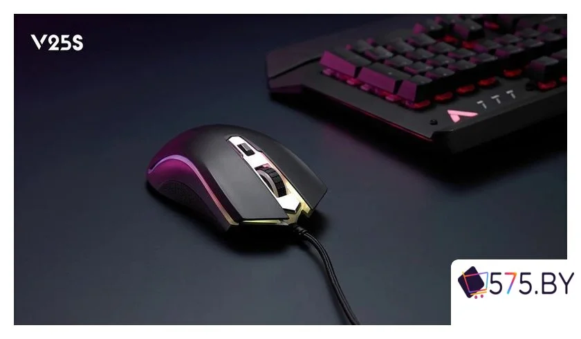 Игровая мышь Rapoo V25S 2022 (черный) в магазине 575.by