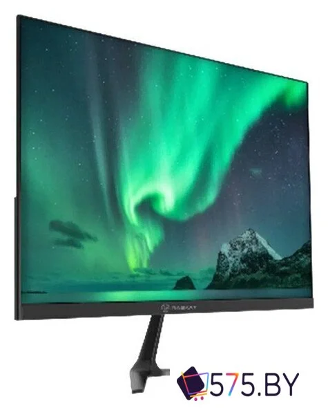 Игровой монитор Raskat I24F16D в магазине 575.by