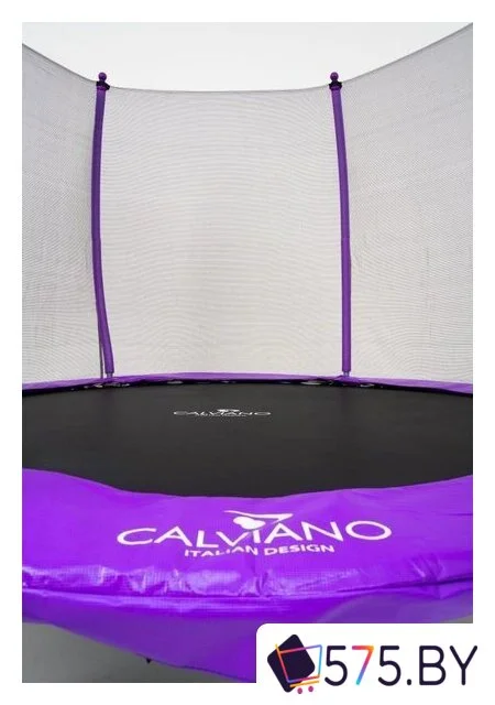 Батут Calviano Outside Master Purple 252 см - 8ft (внешняя сетка, с лестницей) в магазине 575.by