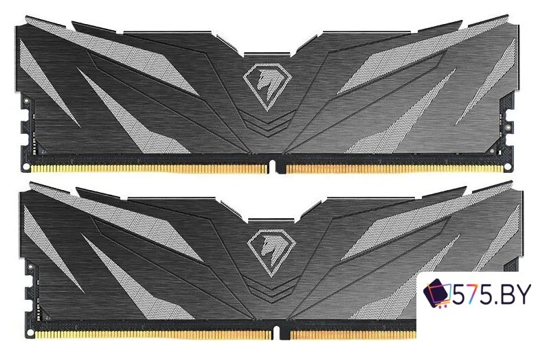Оперативная память Netac Shadow II 2x16ГБ DDR5 6000 МГц NTSWD5P60DP-32K в магазине 575.by