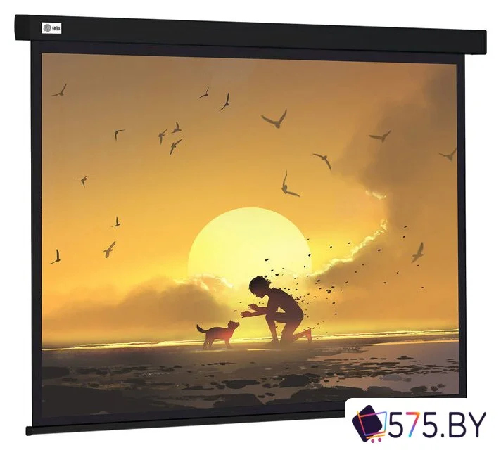 Проекционный экран CACTUS Wallscreen 150x150 CS-PSW-150X150-BK в магазине 575.by