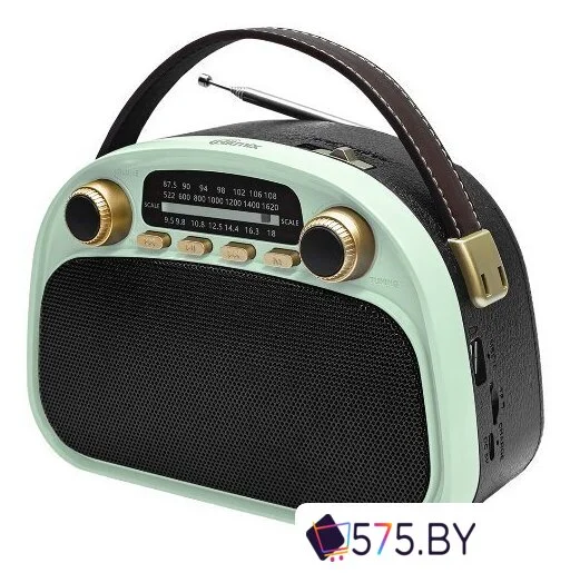 Радиоприемник Ritmix RPR-040 (мятный) в магазине 575.by