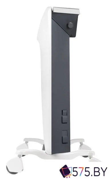 Конвектор Electrolux Air Gate Transformer ECH/AG2-1000 T (электронное управление, с шасси) в магазине 575.by