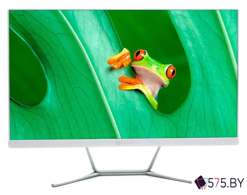 Моноблок ТЕСЛА Z24W 2108500 в магазине 575.by