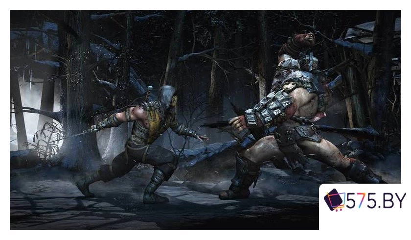 Игры для приставок PlayStation 4 Mortal Kombat X в магазине 575.by
