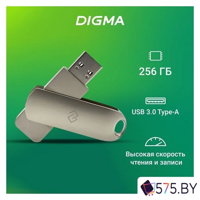 USB Flash Digma Drive 3 256GB DGFUM256A30SR в магазине 575.by