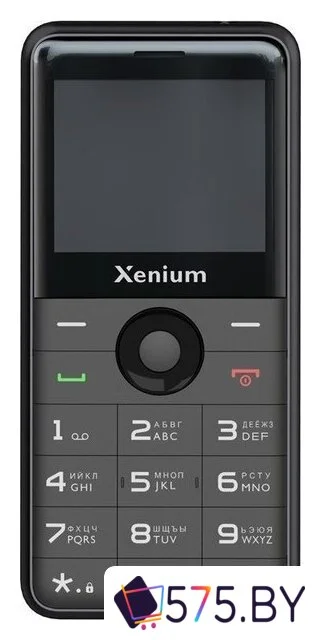 Кнопочный телефон Xenium X700 (черный)
