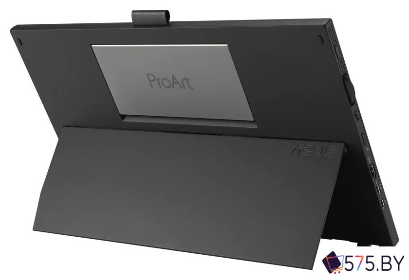 Портативный монитор ASUS ProArt PA169CDV в магазине 575.by