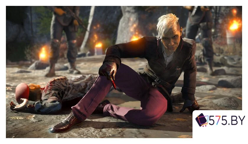 Игры для приставок PlayStation 4 Far Cry 4 в магазине 575.by