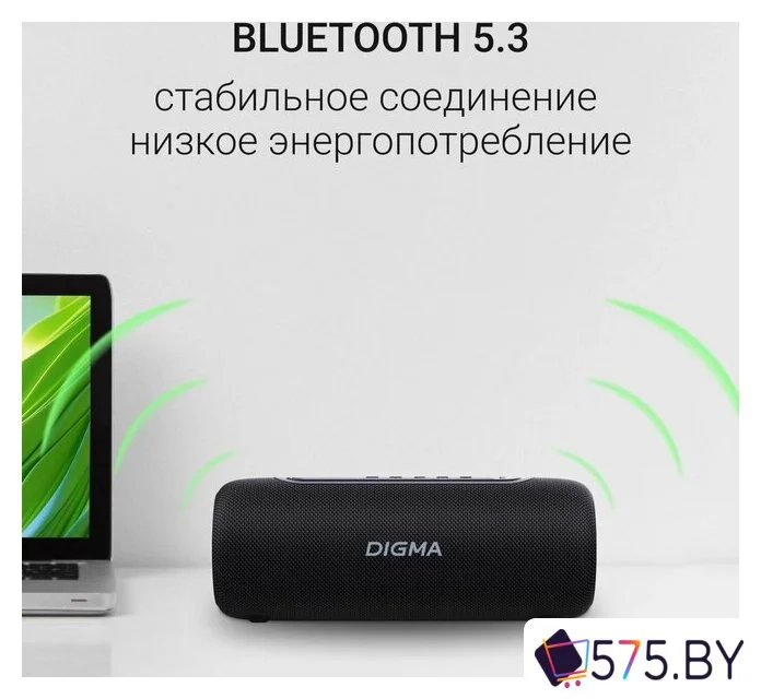Беспроводная колонка Digma D-PS1524 в магазине 575.by