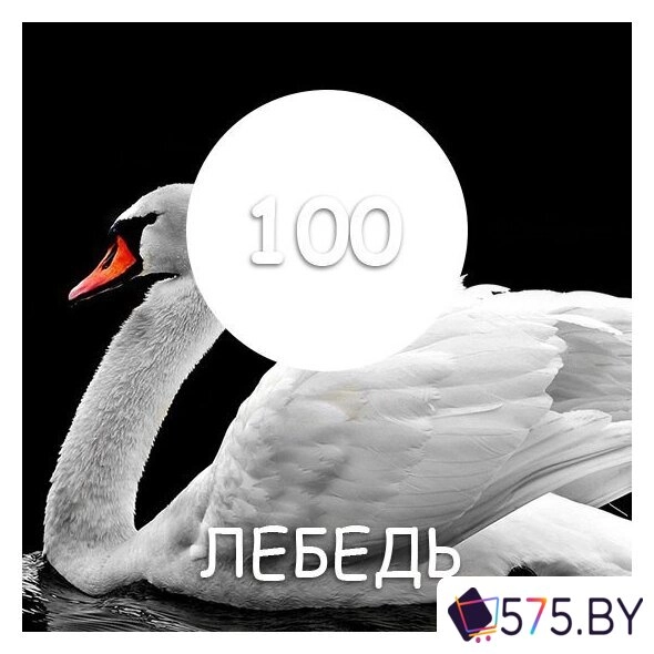 Краска Maxima 2.5 кг (№100 белый лебедь) в магазине 575.by
