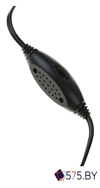 Акустика Gembird SPK-203 в магазине 575.by