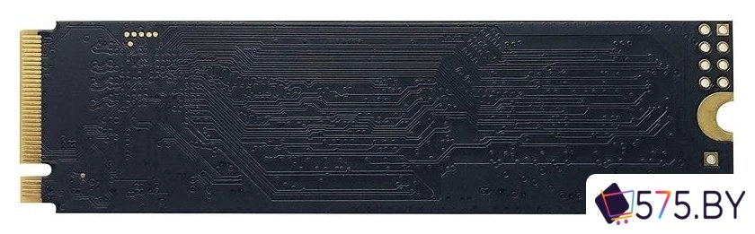 SSD Patriot P300 1TB P300P1TBM28 в магазине 575.by