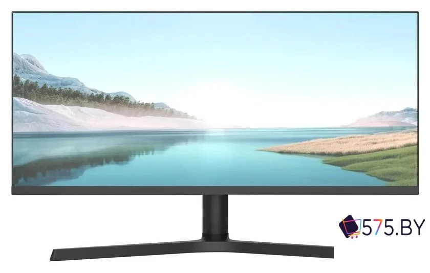 Игровой монитор NPC MZ300L в магазине 575.by