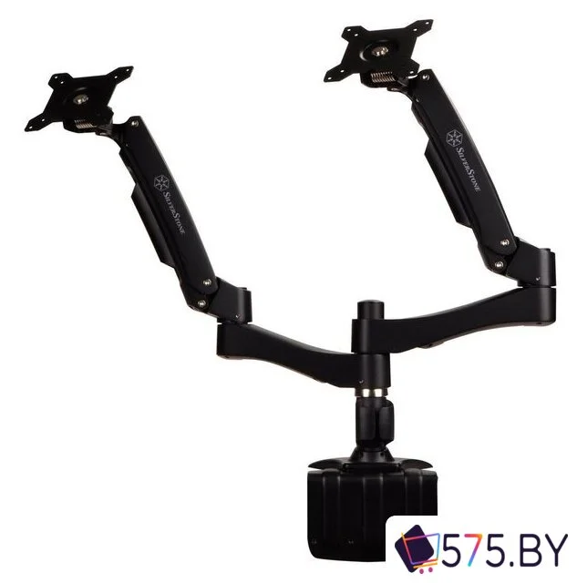 Кронштейн для монитора SilverStone SST-ARM22BC в магазине 575.by