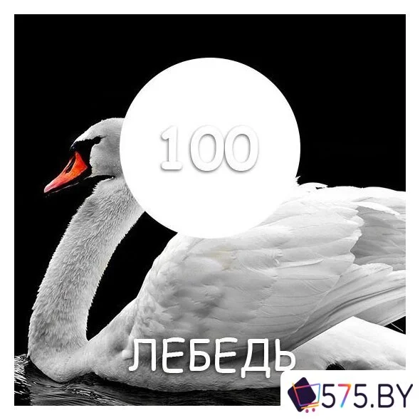 Краска Maxima 2.5 кг (№100 белый лебедь) в магазине 575.by