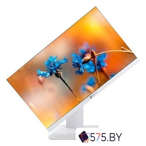 Моноблок ТЕСЛА P24WP 2116500 в магазине 575.by