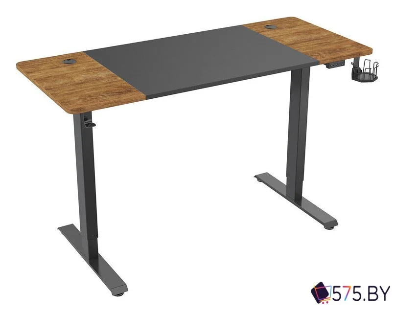 Стол с регулировкой высоты CACTUS CS-EDL-BAWD в магазине 575.by