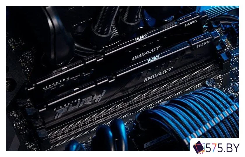 Оперативная память Kingston FURY Beast 16ГБ DDR5 5600 МГц KF556C36BBE-16 в магазине 575.by
