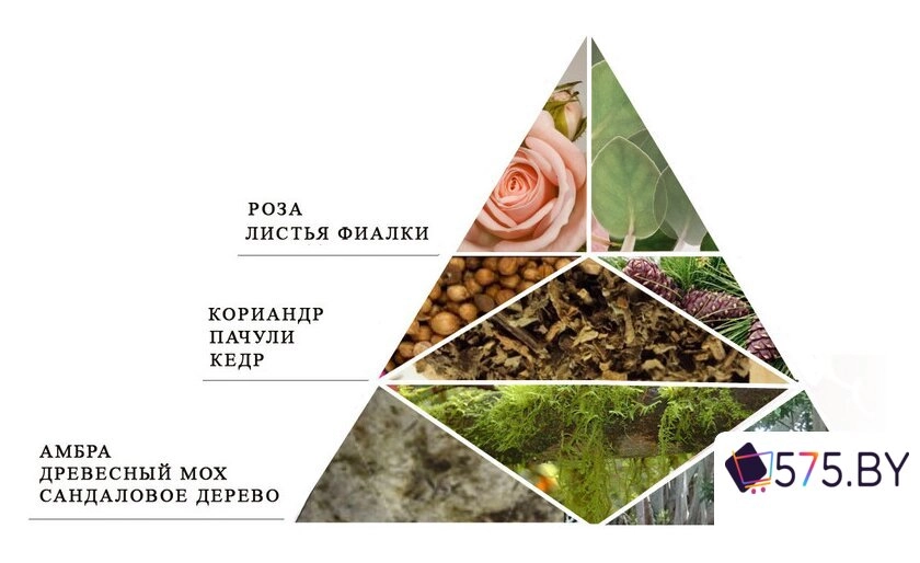 Духи Новая Заря Тайна духи (16 мл) в магазине 575.by