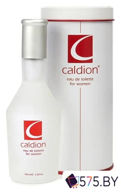 Туалетная вода Caldion For Woman EdT (100 мл) в магазине 575.by