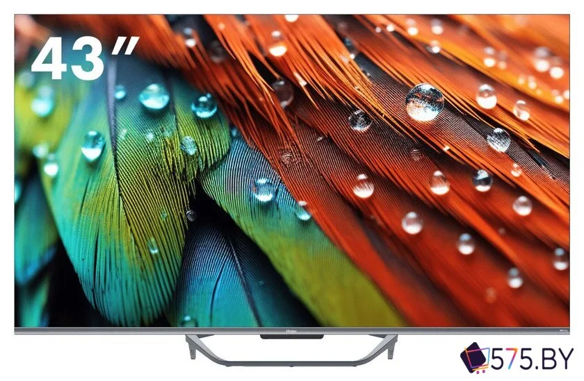 Телевизор Haier 43 Smart TV S4 в магазине 575.by