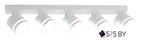Спот TruEnergy 21023 в магазине 575.by